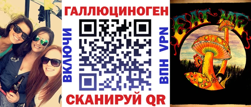 Псилоцибиновые грибы Psilocybine cubensis  Санкт-Петербург 